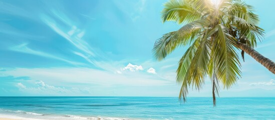 Summer palm tree and Tropical beach.