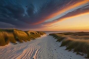 Fototapeta premium sunset over the dunes