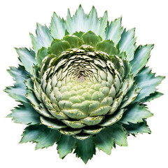 Artichoke mandala a thorny circular design of artichokes with leaves unfurling and steam rising