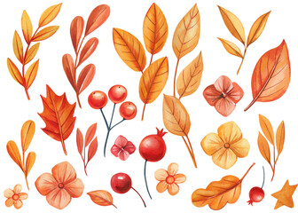 Obraz premium Autumn leaves, red berries, flowers watercolor sticker fall, white background, cute leaf drawing illustration set