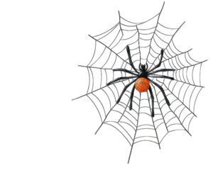 A detailed spider web featuring a vibrant orange spider, perfect for Halloween or spooky themes.