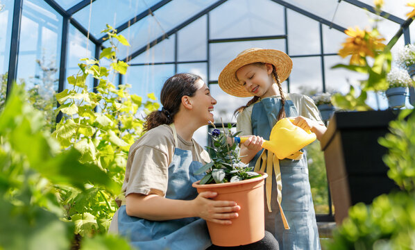 mother and daughter are gardening in the greenhouse - Powered by Adobe