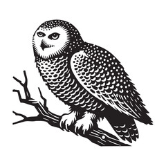 Snowy owl Bird, polar owl Clipart, white owl silhouette, Arctic owl illustration in black and white
