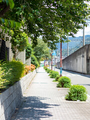 真夏の日射しに照らされた通りの風景