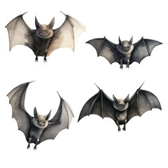 watercolor painting of bat four collection isolated 
