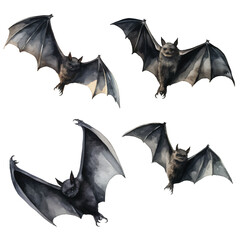 watercolor painting of bat four collection isolated 