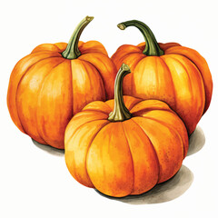 Fototapeta premium watercolor painting of Pumpkin four collection isolated