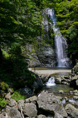 Obraz premium Waterfall of Mino in Osaka, Japan