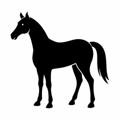 Horse silhouette vector illustration with white background