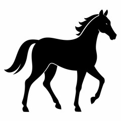 Horse silhouette vector illustration with white background