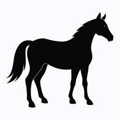 Horse silhouette vector illustration with white background