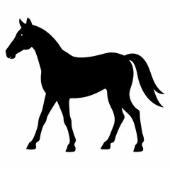 Horse silhouette vector illustration with white background