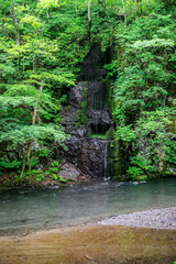 Hidden Waterfall Oasis in Oirase Gorge, Aomori, Japan