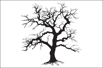 Tree without leaves, bare tree, leafless tree, winter tree, dormant tree, dead-looking tree, skeletal tree, branchy tree, twiggy tree, naked tree, exposed tree, stripped tree, barren tree, unadorned t