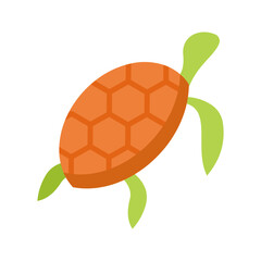 Obraz premium Turtle Flat