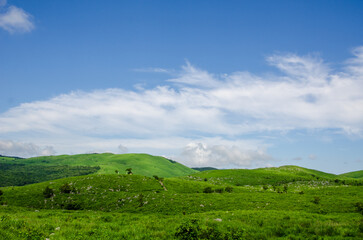 Obraz premium 夏の空