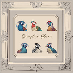 A vintage-inspired artwork featuring detailed illustrations of various bird species, framed with ornate decorations.