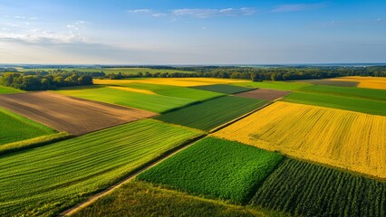 Fototapeta premium landscape with field and sky