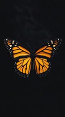 Obraz premium A Single Monarch Butterfly with Wings Spread Wide Against a Black Background