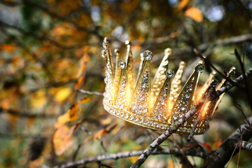 Image of beautiful queen or king crown over a branch of an old tree. fantasy medieval period