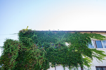 日本の岡山県瀬戸内市虫明の古くてとても美しい建物