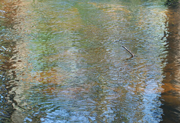 Reflection on the water surface.