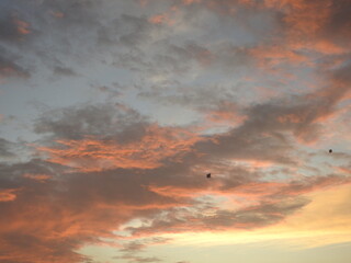 Red cloud and the kites
