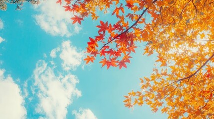 Autumn landscape with colorful leaves and a clear blue sky