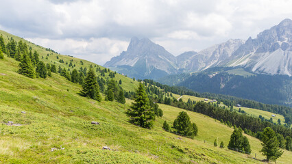 Fototapeta premium aerial drone view of funes valley in the Italian dolomites. Peitlerkofel ( Sass de Putia) in the background. Alpine meadows with pine trees in the foreground. Italian dolomites. Wonderful hiking area.