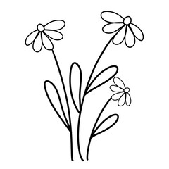 Doodle wild flowers for embroidery pattern coloring books