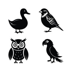 Elegant bird silhouette vector collection.