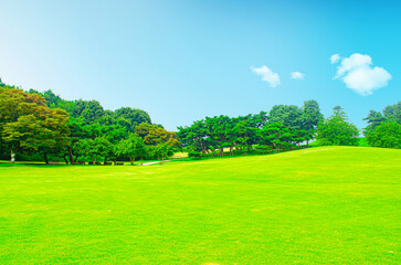 tree in a green meadow in front of a hilly mountain on a sunny day