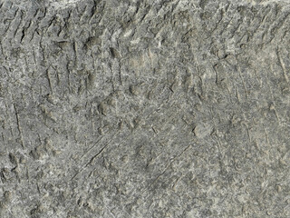 Stone pavement texture. Granite cobble stoned pavement.