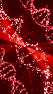 3D animation of red colored DNA helix moving in loop