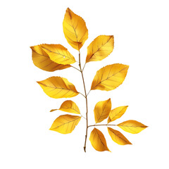 Obraz premium autumn paper leaves on white background, 