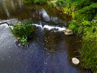 Cascades on the river in summer.
