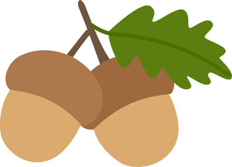 Flat autumn acorn vector isolated. Ripe brown acorn svg. © 素真 莊
