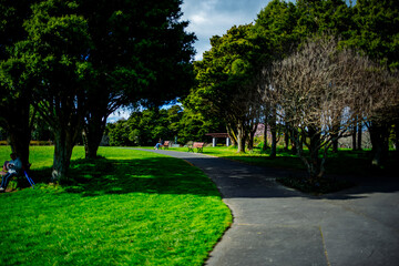 Beautiful sunny day in the Botanic Garden in East Auckland, New Zealand.