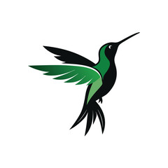 Elegant silhouette hummingbird vector.