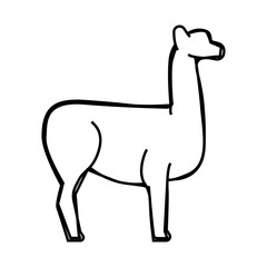 lama wild animal line icon vector. lama wild animal sign. isolated contour symbol black illustration