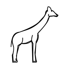 giraffe animal line icon vector. giraffe animal sign. isolated contour symbol black illustration