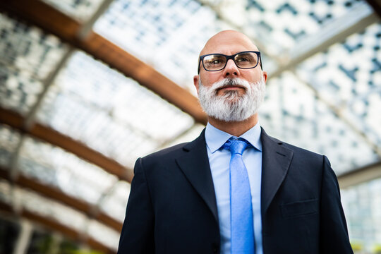 Senior businessman with white beard wearing suit standing in modern office building