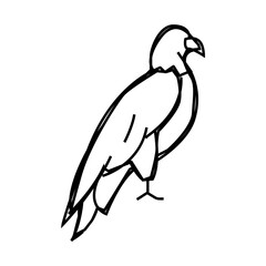 eagle bird line icon vector. eagle bird sign. isolated contour symbol black illustration