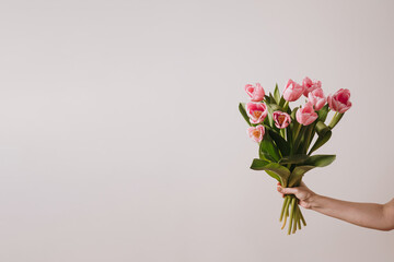Female hand holds elegant pink tulip flowers bouquet over white background. Aesthetic close up view floral composition