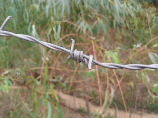 Efficient Barbed Wire for Enhanced Security