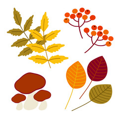Naklejka premium Autumn leaves, berries, and mushrooms arranged artistically with warm colors illustrating seasonal changes