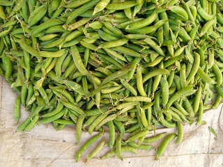 Fresh Peas from the Garden