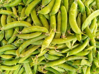 Fresh Peas from the Garden