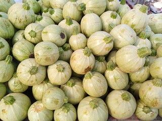 Fresh Apple Gourd Ready for Cooking