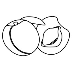 Outline plum whole and half, coloring page with healthy fruit for creativity and design